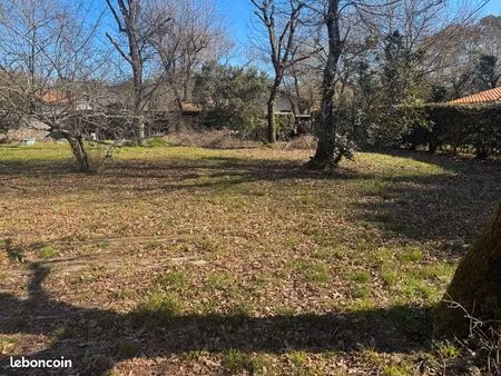 en exclusivite  terrain à vendre à lège libre de constructeur