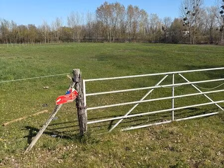 ? terrain clôturé ~9000 m² – idéal animaux / nature – 9000 à débattre ?