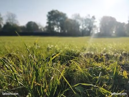 terrain 1 450 m² saumur