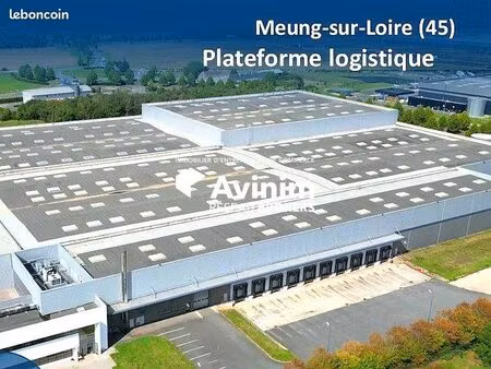 local 30080 m² orléans