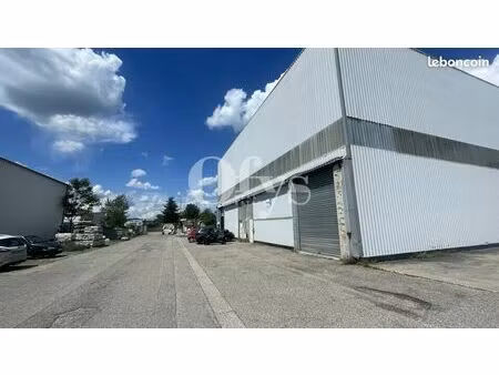 local d'activité 565 m²