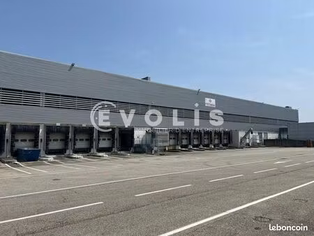 local logistique 17 666 m²