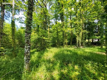 terrain 27664 m² latronquière