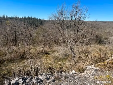 terrain boisé 9ha32