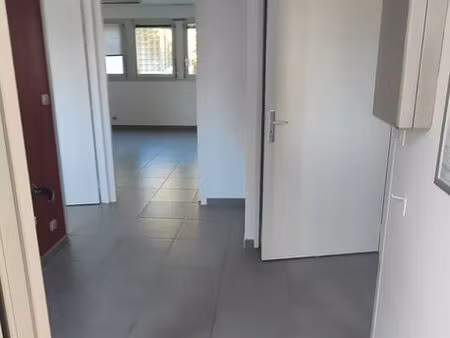 local artisan professionnel 60 m² - zi de champ roman