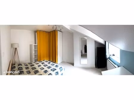 maison meublé orléans hypercentre