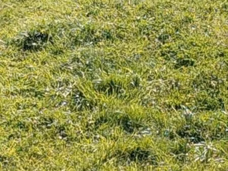 vente terrain drapeau