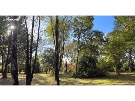 terrain 705 m² pornic