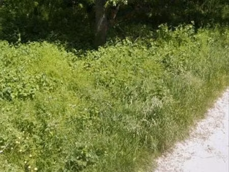 vente de terrain non constructible