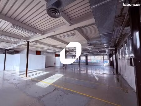 local d'activité 300 m²