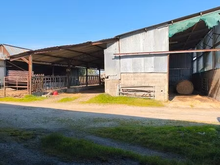 location hangar agricole