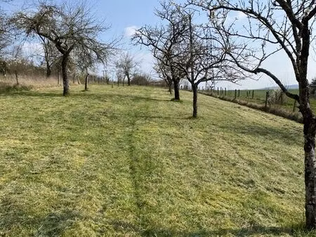 vente d'un verger 15ares 60