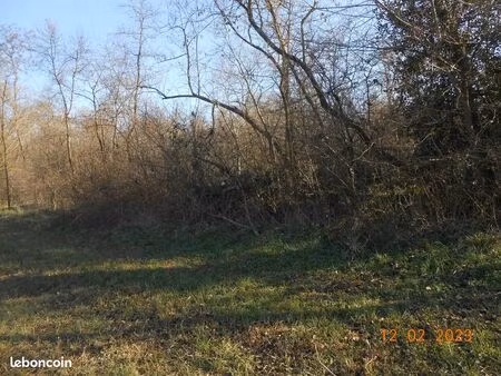 terrain agricole ou de loisirs