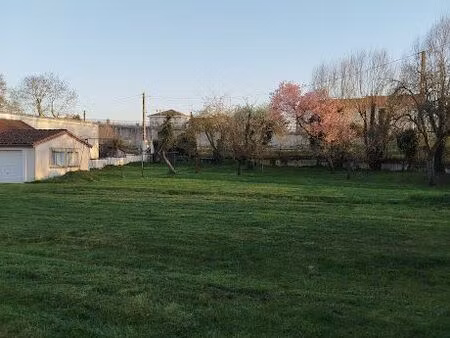 terrain cloture arboré