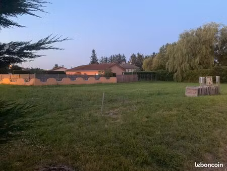 terrain constructible