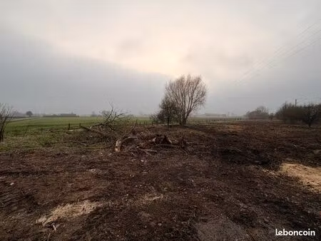 terrain de 3000 m2  95m2 au cadastre