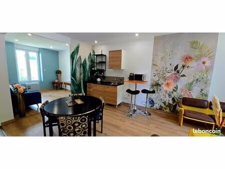 appartement 50 5 m² meublé - rénové style rétro 50-60 – bord de meuse – 1 chambre + salon 