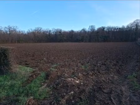 4ha de terre agricole bail a reprendre
