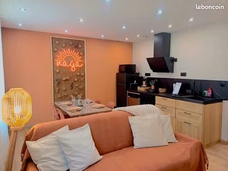 appartement t2 46m2 - centre-ville