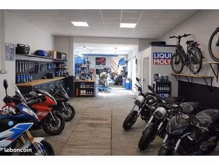 maison + local professionnel