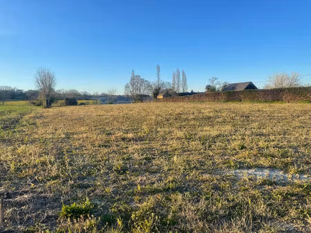 vente terrain  1549.00m²  maucor