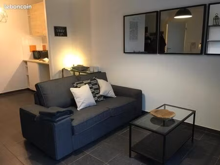 appartement meublé de 45 m2 avec terrasse et parking privé