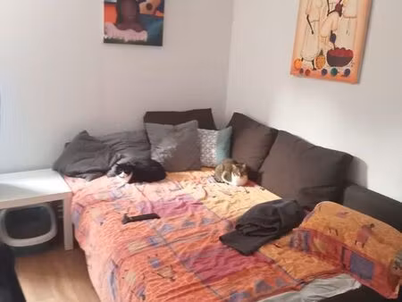 apparemment gourette