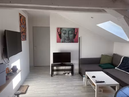 nancy  faubourg des 3 maisons  f2