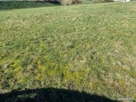 terrain 357 m² auray