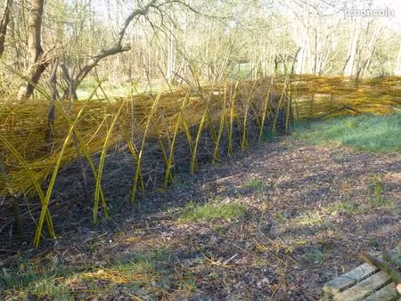 dernier terrain dans écolieu