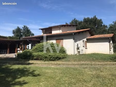 local restaurant 300 m²