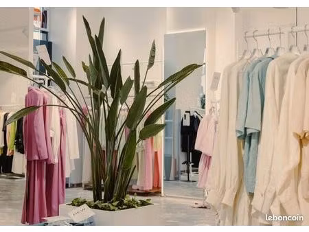 local commercial 101 m²