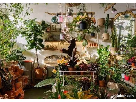 local commercial 74 m²