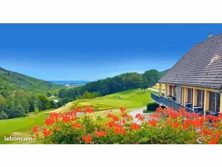 studio 1 pièce 20 m²