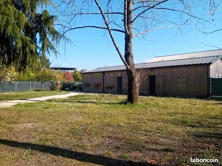 terrain commercial arboré 1 hectare