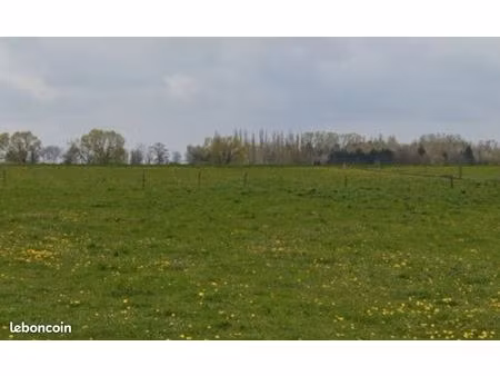 terrain 396 m² aspach le bas