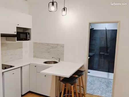 t1 meublé centre ville pau