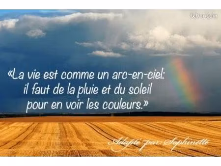 recherche logement t4