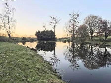 terrain 6500 m² le bourgneuf-la-forêt