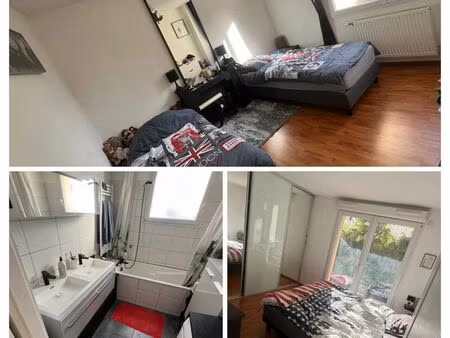 appartement 69m2 très lumineux à wintzenheim