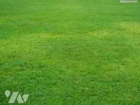 local divers 4448 m² donges