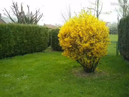 maison individuelle de 4 chambres