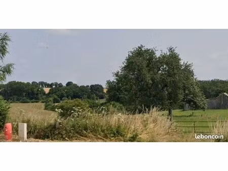 terrain constructible