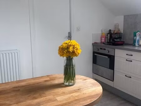 t2 meublé 42 m² – 845 tout inclus – jardin – proche polyclinique – colocation possible