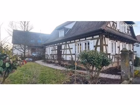 ensemble immobilier 2 maisons avec piscine à schleithal