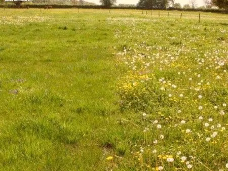 terrain 11000 m2 dont 3000 constructibles