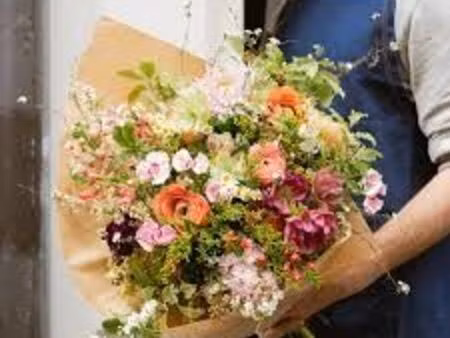 fleuriste 60 m² perpignan