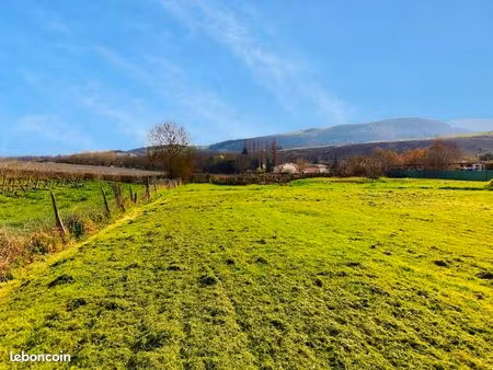 terrain constructible