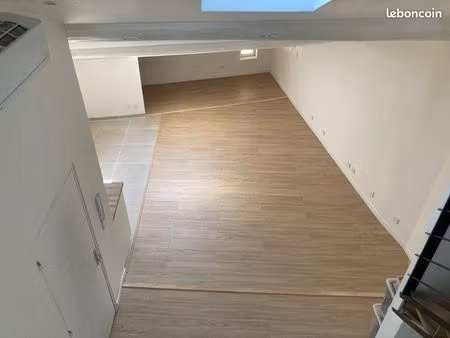 appartement loft – refait à neuf – centre ville