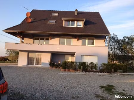 f1 rez de chaussee  terrasse  entrée ind. nambsheim